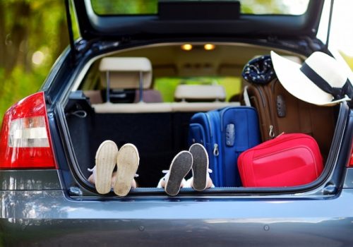 Tips to surviving a family road trip