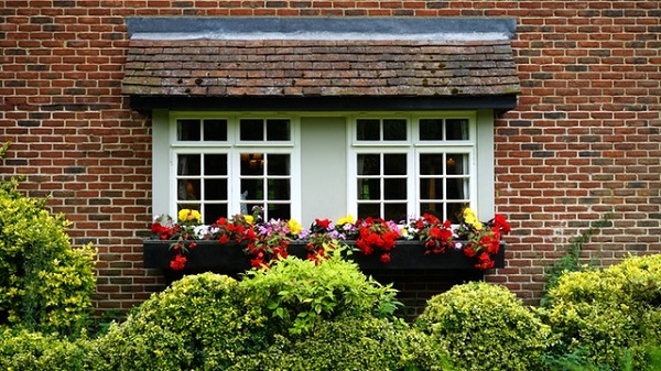 window cleaning tips | Molly Maid