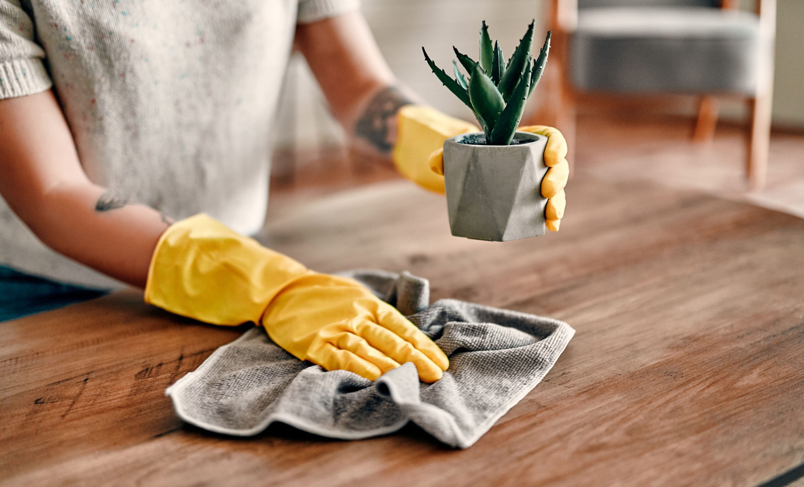 Woman cleaning the surface