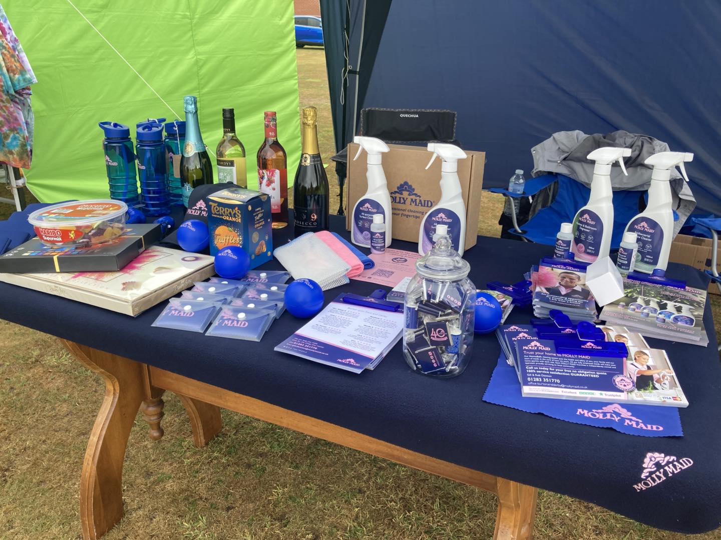 51593674112192298698995106735151260140524717n | Molly Maid