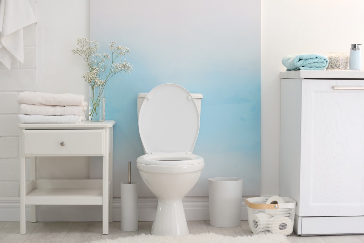 Teach your Children Well – 10 Steps to a Clean Toilet